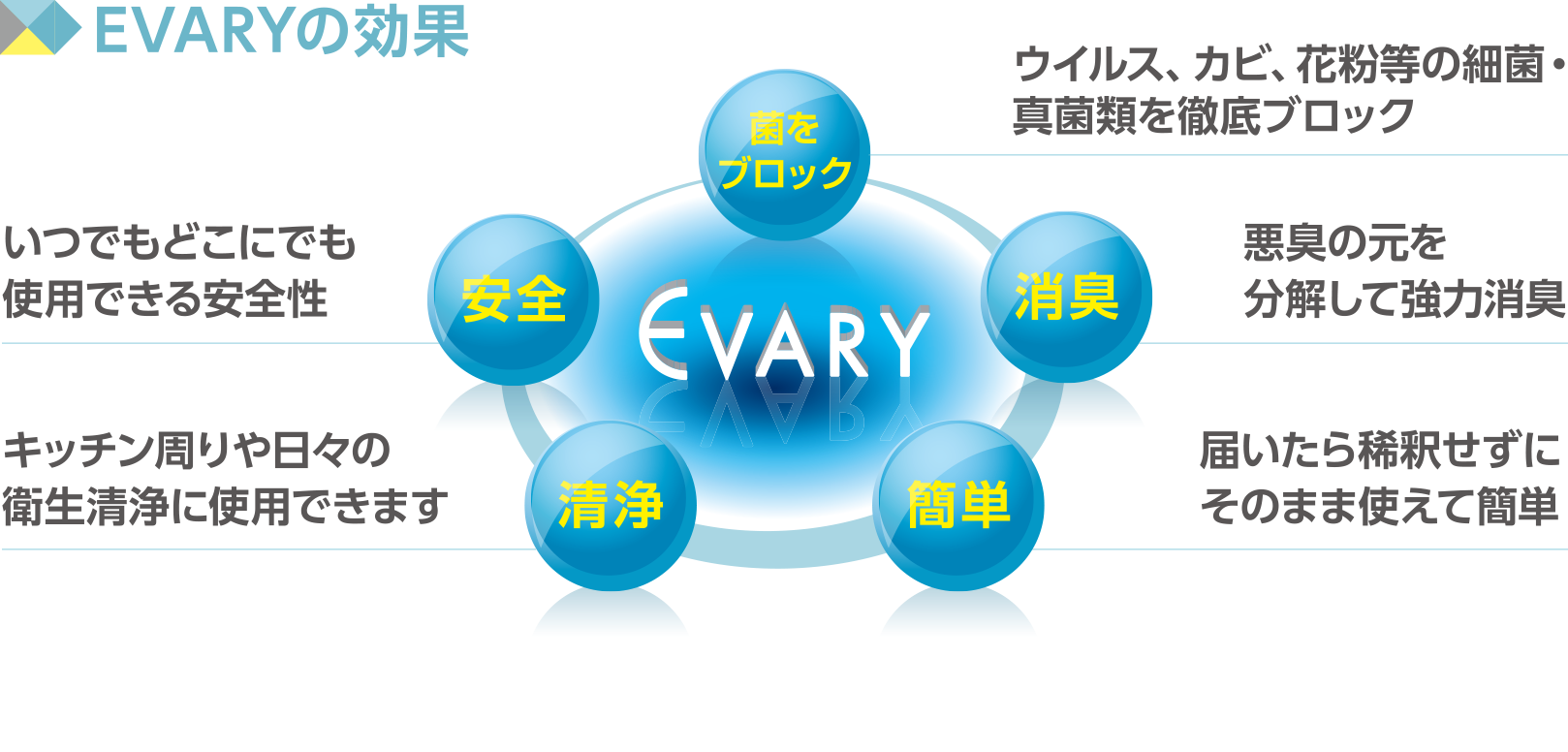 EVARYの効果